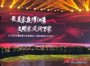 合肥天鹅湖最新爆料微博,揭秘湖畔新景观与生态变迁  第2张